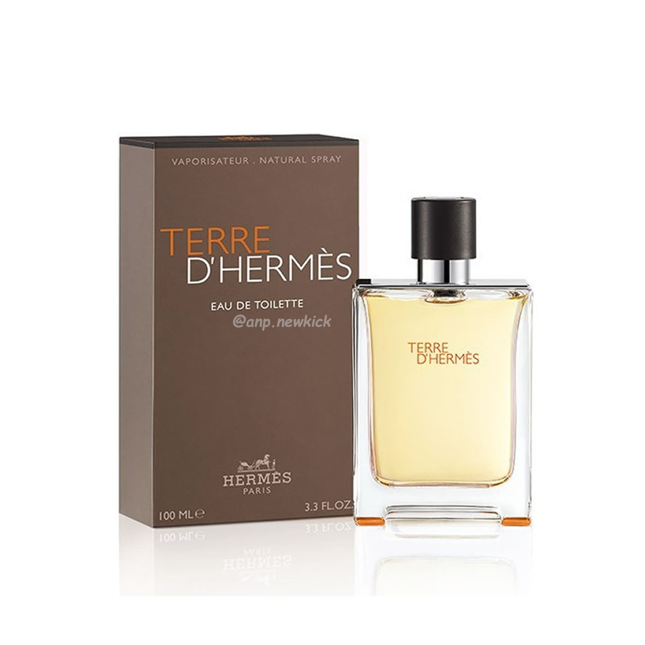 Hermes Terre D Pour Homme Edt 100ml (1) - newkick.cc